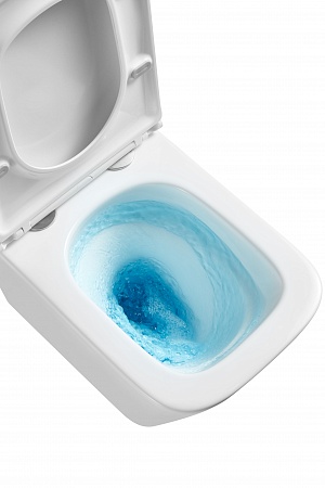 Подвесной унитаз безободковый Terminus Ватикан Monolit 490х340 белый Владикавказ - фото 8