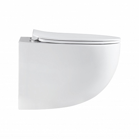 Подвесной унитаз безободковый Terminus Енисей Monolit 560х390 белый Владикавказ - фото 4