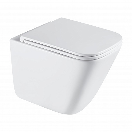 Подвесной унитаз безободковый Terminus Ватикан Monolit 490х340 белый Владикавказ - фото 2