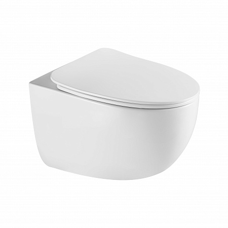 Подвесной унитаз безободковый Terminus Енисей Monolit 560х390 белый Владикавказ - фото 2