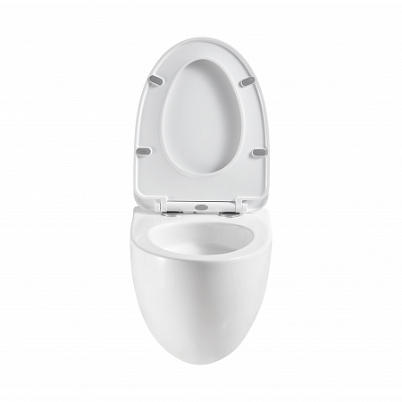 Подвесной унитаз безободковый Terminus Енисей Monolit 560х390 белый Владикавказ - фото 5