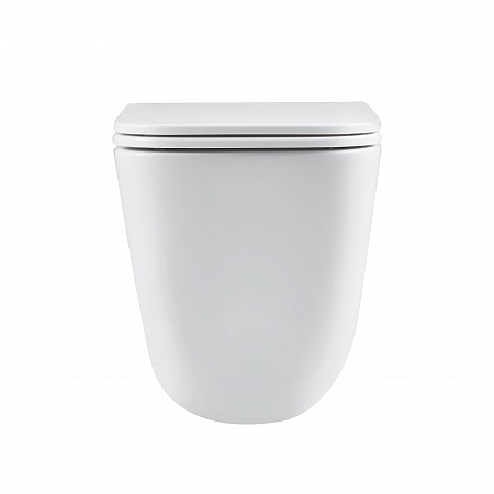 Подвесной унитаз безободковый Terminus Ватикан Monolit 490х340 белый Владикавказ - фото 6