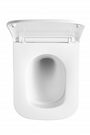 Подвесной унитаз безободковый Terminus Ватикан Monolit 490х340 белый Владикавказ - фото 3